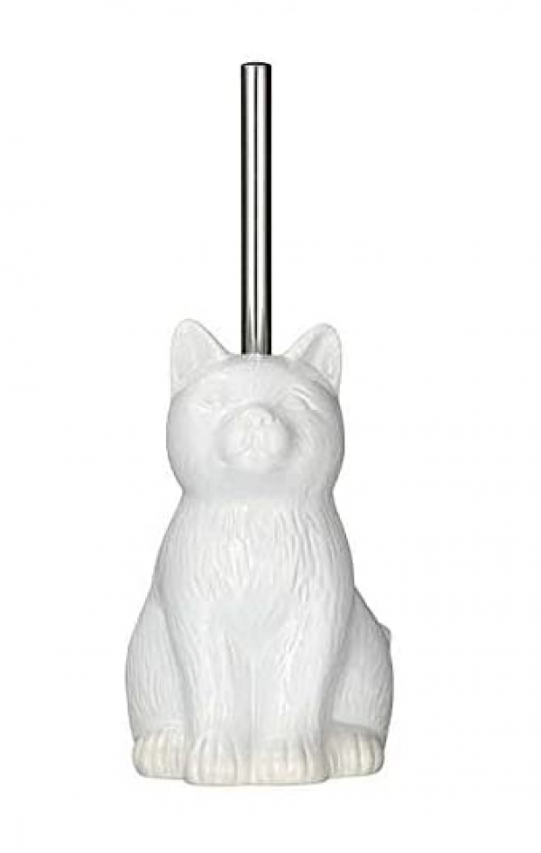 scopino gatto
